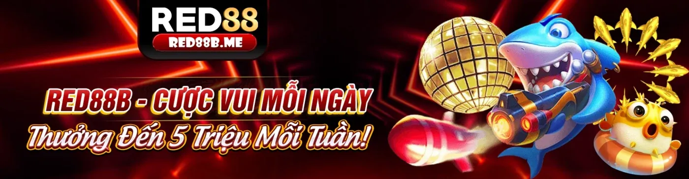 Hình ảnh đại diện về 2bong khuyến mãi, thể hiện sự chuyên nghiệp